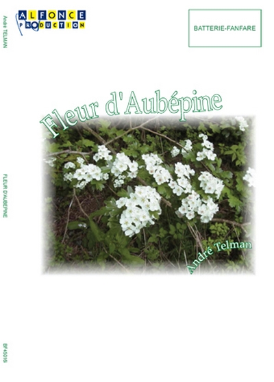 Fleur D'Aubepine (TELMAN ANDRE)