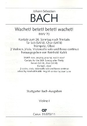 CV3107011.jpg