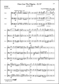 Here Lies The Pilgrim - D. 57 - F. Schubert - Trio De Violoncelles (SCHUBERT FRANZ)