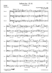 Infinite Joy - D. 51 - F. Schubert - Trio De Bassons (SCHUBERT FRANZ)