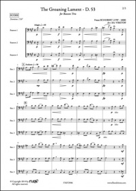 The Groaning Lament - D. 53 - F. Schubert - Trio De Bassons (SCHUBERT FRANZ)