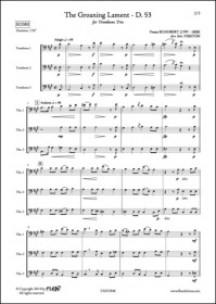 The Groaning Lament - D. 53 - F. Schubert - Trio De Trombones (SCHUBERT FRANZ)