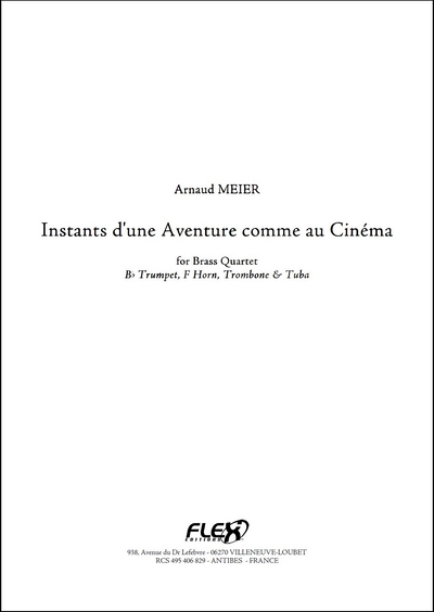 Instants D'Une Aventure Comme Au Cinéma (MEIER ARNAUD)