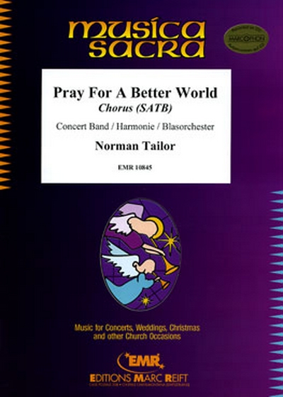 Pray For A Better World (TAILOR NORMAN)