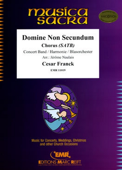 Domine Non Secundum (FRANCK CESAR)