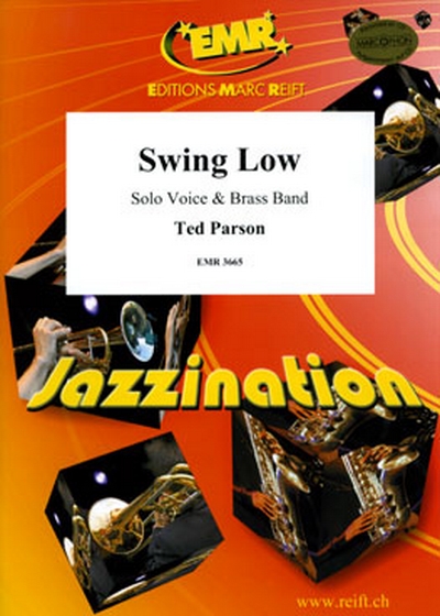 Swing Low (PARSON TED)