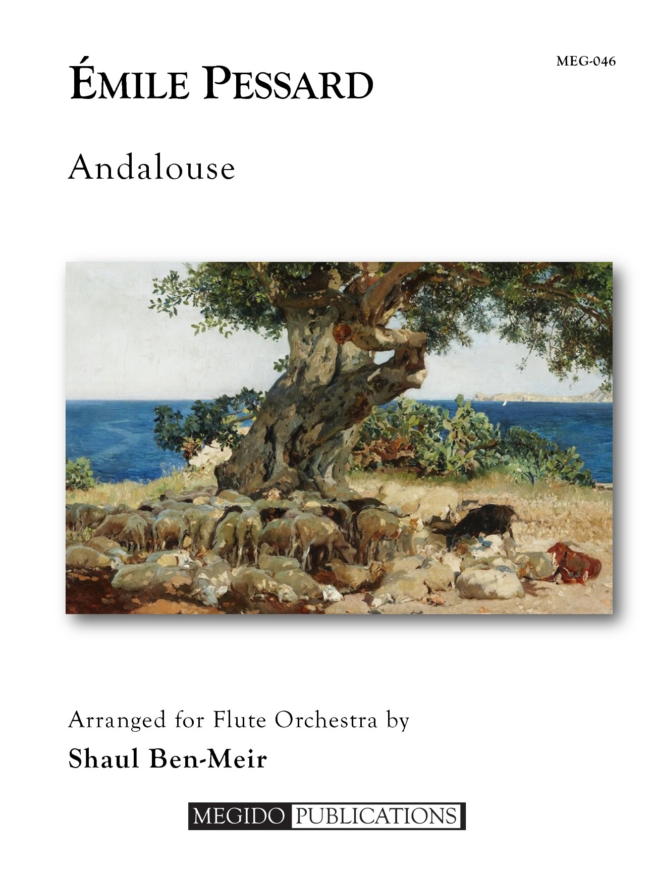 Andalouse for Flute Orchestra (PESSARD EMILE)