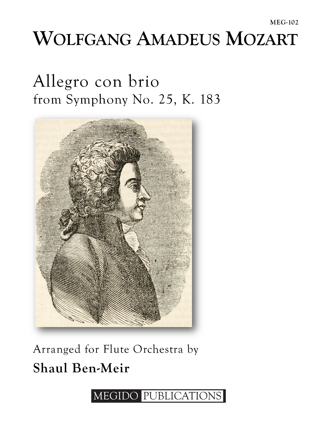 Allegro con brio from Symphony No. 25, K. 183 for Flute Orchestra (MOZART WOLFGANG AMADEUS)