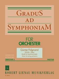 Steps For String Orchestra (Gradus Ad Symphoniam Advanced Level No. Vi)