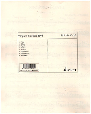 Siegfried-Idyll Wwv 103 (WAGNER RICHARD)