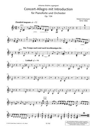 Concert-Allegro Mit Introduction D Minor Op. 134
