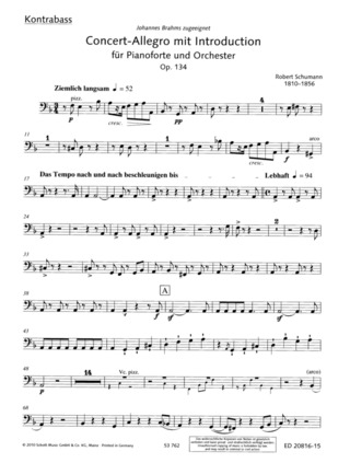 Concert-Allegro Mit Introduction D Minor Op. 134