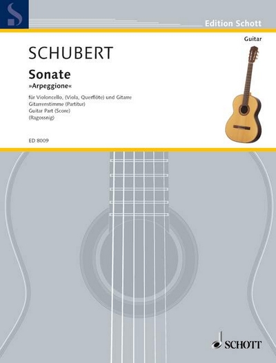 Sonata 'Arpeggione' D 821 (SCHUBERT FRANZ)