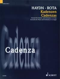 Cadenzas (HAYDN FRANZ JOSEF)